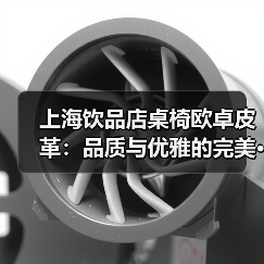上海饮品店桌椅欧卓皮革：品质与优雅的完美···（图4）