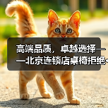 高端品质，卓越选择——北京连锁店桌椅拒绝···（图2）