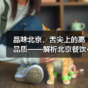 品味北京,舌尖上的高品质——解析北京餐饮···(图1) 品味北京,舌尖上的高品质——解析北京餐饮···(图1)