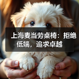 上海麦当劳桌椅:拒绝低端,追求卓越(图3) 上海麦当劳桌椅:拒绝低端,追求卓越(图3)