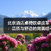 北京酒店桌椅欧卓皮革：品质与舒适的完美结···（图2）