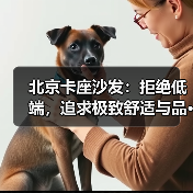 北京卡座沙发:拒绝低端,追求极致舒适与品···(图1) 北京卡座沙发:拒绝低端,追求极致舒适与品···(图1)