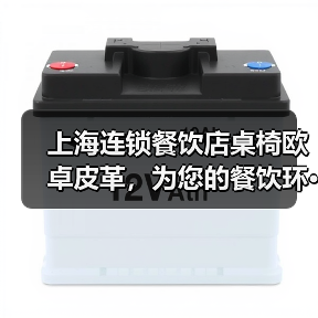 上海连锁餐饮店桌椅欧卓皮革，为您的餐饮环···（图1）