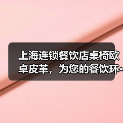 上海连锁餐饮店桌椅欧卓皮革，为您的餐饮环···（图2）