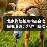 北京肯德基桌椅高密度回弹海绵：舒适与品质···（图1）