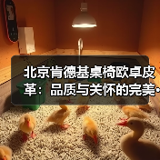 北京肯德基桌椅欧卓皮革:品质与关怀的完美···(图2) 北京肯德基桌椅欧卓皮革:品质与关怀的完美···(图2)