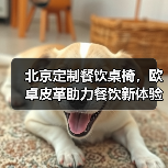 北京定制餐饮桌椅,欧卓皮革助力餐饮新体验(图2) 北京定制餐饮桌椅,欧卓皮革助力餐饮新体验(图2)