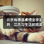 北京肯德基桌椅金宇家具:品质与生活的完美···(图3) 北京肯德基桌椅金宇家具:品质与生活的完美···(图3)