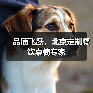 品质飞跃,北京定制餐饮桌椅专家(图2) 品质飞跃,北京定制餐饮桌椅专家(图2)