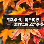 品质桌椅，美食随行——上海炸鸡汉堡店桌椅···（图4）