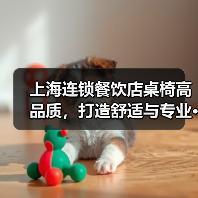 上海连锁餐饮店桌椅高品质，打造舒适与专业···（图1）