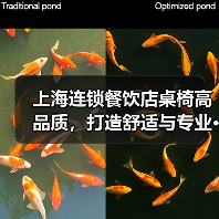 上海连锁餐饮店桌椅高品质，打造舒适与专业···（图3）