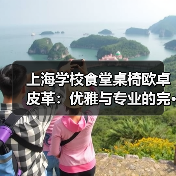 上海学校食堂桌椅欧卓皮革:优雅与专业的完···(图4) 上海学校食堂桌椅欧卓皮革:优雅与专业的完···(图4)
