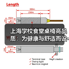 上海学校食堂桌椅高品质：为健康与舒适而设···（图1）