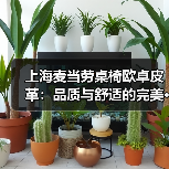 上海麦当劳桌椅欧卓皮革:品质与舒适的完美···(图1) 上海麦当劳桌椅欧卓皮革:品质与舒适的完美···(图1)