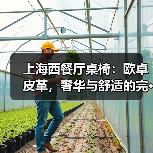 上海西餐厅桌椅:欧卓皮革,奢华与舒适的完···(图4) 上海西餐厅桌椅:欧卓皮革,奢华与舒适的完···(图4)