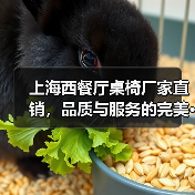 上海西餐厅桌椅厂家直销,品质与服务的完美···(图4) 上海西餐厅桌椅厂家直销,品质与服务的完美···(图4)