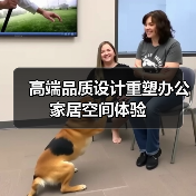 高端品质设计重塑办公家居空间体验(图3) 高端品质设计重塑办公家居空间体验(图3)