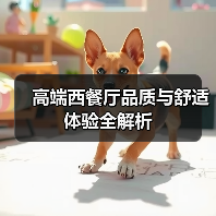 高端西餐厅品质与舒适体验全解析（图2）
