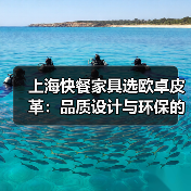 上海快餐家具选欧卓皮革:品质设计与环保的完美融合(图3) 上海快餐家具选欧卓皮革:品质设计与环保的完美融合(图3)