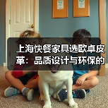 上海快餐家具选欧卓皮革:品质设计与环保的完美融合(图2) 上海快餐家具选欧卓皮革:品质设计与环保的完美融合(图2)