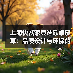 上海快餐家具选欧卓皮革:品质设计与环保的完美融合(图4) 上海快餐家具选欧卓皮革:品质设计与环保的完美融合(图4)