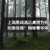 上海高端酒店桌椅为何拒绝低端？揭秘奢华体验密码（图3）