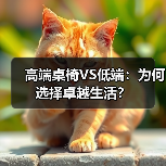 高端桌椅VS低端：为何选择卓越生活？（图1）