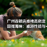 广州连锁店桌椅高密度回弹海绵：卓越性能与···（图4）