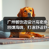 广州餐饮店设计高密度回弹海绵，打造舒适舒···（图1）