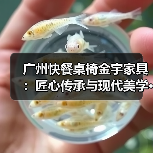 广州快餐桌椅金宇家具:匠心传承与现代美学···(图3) 广州快餐桌椅金宇家具:匠心传承与现代美学···(图3)