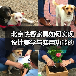 北京快餐家具如何实现设计美学与实用功能的完美结合?(图1) 北京快餐家具如何实现设计美学与实用功能的完美结合?(图1)