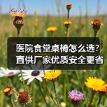 医院食堂桌椅怎么选？直供厂家优质安全更省心（图1）