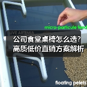公司食堂桌椅怎么选？高质低价直销方案解析（图3）