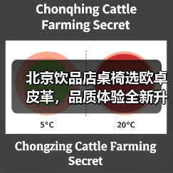 北京饮品店桌椅选欧卓皮革，品质体验全新升级（图4）