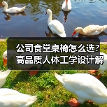 公司食堂桌椅怎么选?高品质人体工学设计解析(图4) 公司食堂桌椅怎么选?高品质人体工学设计解析(图4)