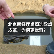 北京西餐厅桌椅选欧卓皮革，为何更优雅？（图3）