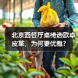 北京西餐厅桌椅选欧卓皮革，为何更优雅？（图4）