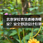北京学校食堂桌椅选哪家?安全舒适设计引领校园新选择(图1) 北京学校食堂桌椅选哪家?安全舒适设计引领校园新选择(图1)