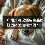 广州炸鸡汉堡店高品格舒适体验如何兼得？（图3）