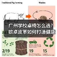 广州学校桌椅怎么选？欧卓皮革如何打造健康学习环境（图2）