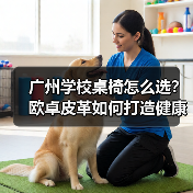 广州学校桌椅怎么选？欧卓皮革如何打造健康学习环境（图1）