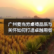 广州麦当劳桌椅品质与关怀如何打造卓越用餐体验？（图2）