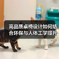 高品质桌椅设计如何结合环保与人体工学提升用餐体验？（图1）