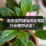 高密度回弹海绵如何提升座椅舒适度？（图2）