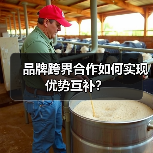 品牌跨界合作如何实现优势互补？（图1）