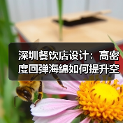 深圳餐饮店设计:高密度回弹海绵如何提升空间舒适度?(图1) 深圳餐饮店设计:高密度回弹海绵如何提升空间舒适度?(图1)