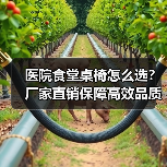 医院食堂桌椅怎么选?厂家直销保障高效品质(图4) 医院食堂桌椅怎么选?厂家直销保障高效品质(图4)