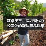 欧卓皮革:深圳现代办公设计的舒适与品质革命(图4) 欧卓皮革:深圳现代办公设计的舒适与品质革命(图4)