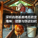 深圳肯德基桌椅高密度海绵:健康与舒适如何兼得?(图1) 深圳肯德基桌椅高密度海绵:健康与舒适如何兼得?(图1)